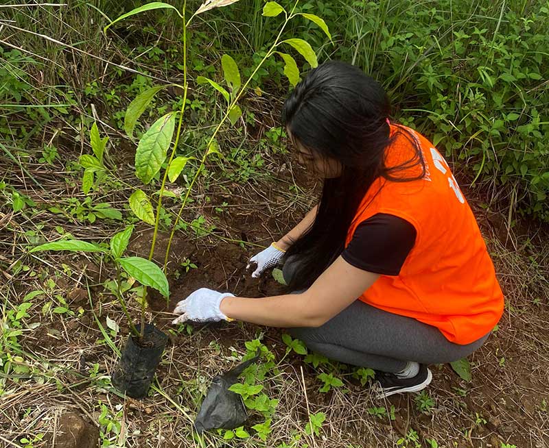 Estudiantes de la Universidad San Marcos reforestan Finca Cabuyal en Puntarenas