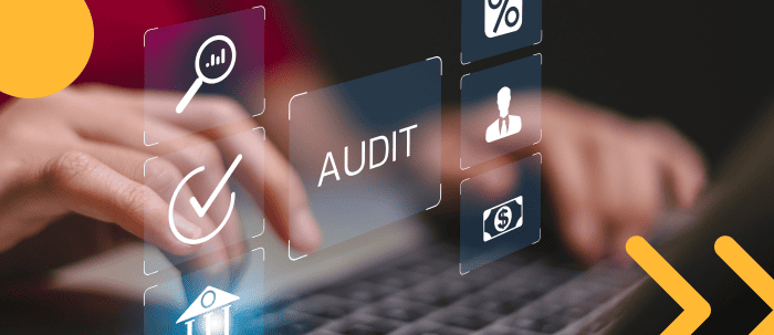  realizar una auditoría interna