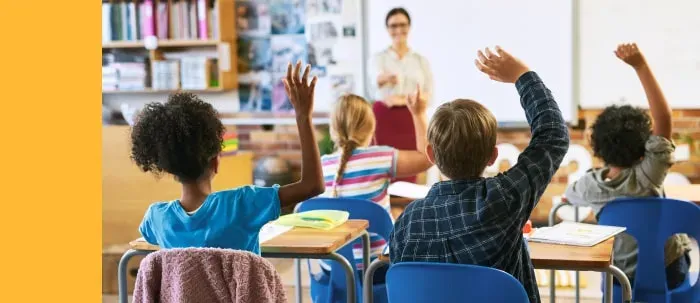Docencia en educación primaria