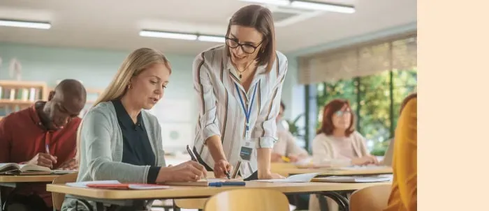 Docencia en educación superior