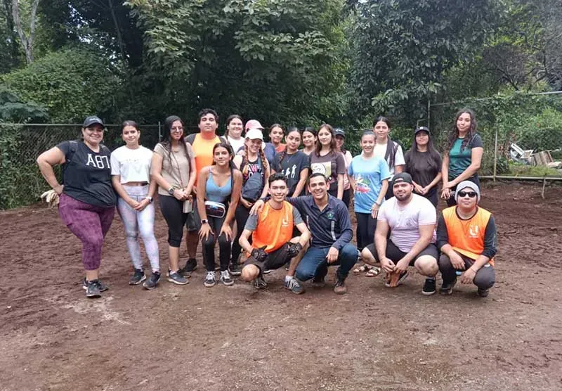 montes oro 1