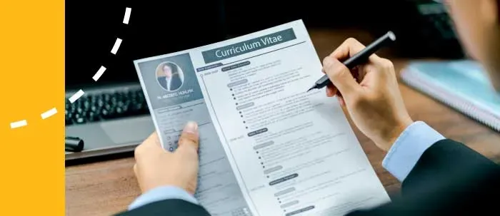 plantillas para curriculum sin experiencia laboral